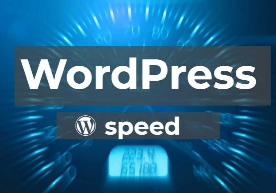 miniatura-lecciones-acelera-tu-wordpress miniatura-lecciones-acelera-tu-wordpress